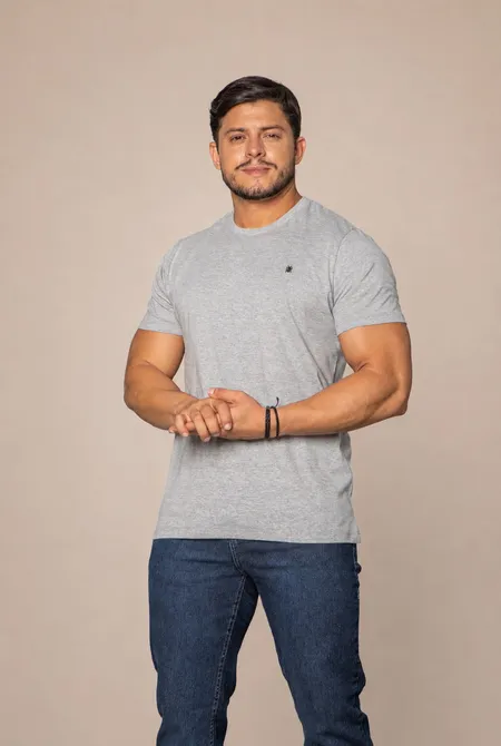 Camiseta Manga Curta Regular Gola Redonda Logo Bordada Mescla
